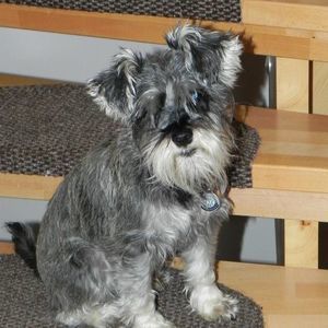 Meet your Posher, Alicia